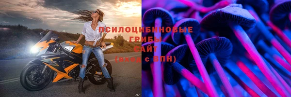 амф Приозерск