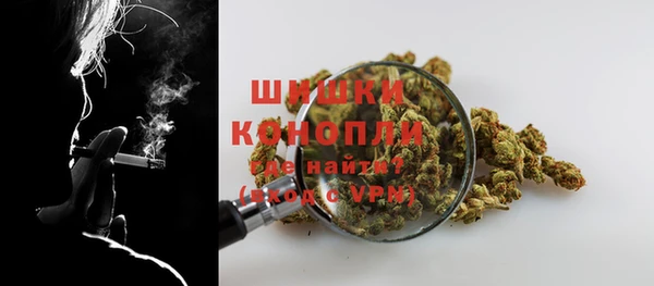 индика Протвино