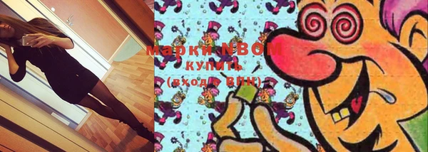 индика Протвино