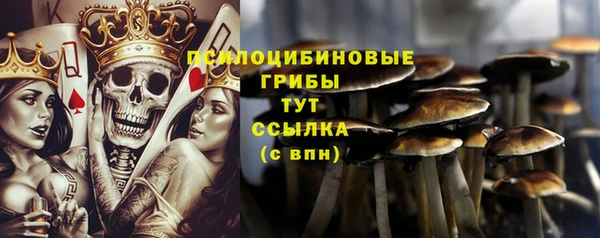 индика Протвино